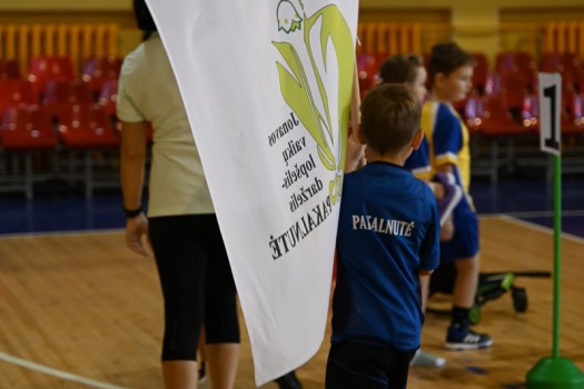 Mes puoselėjame olimpines vertybes!