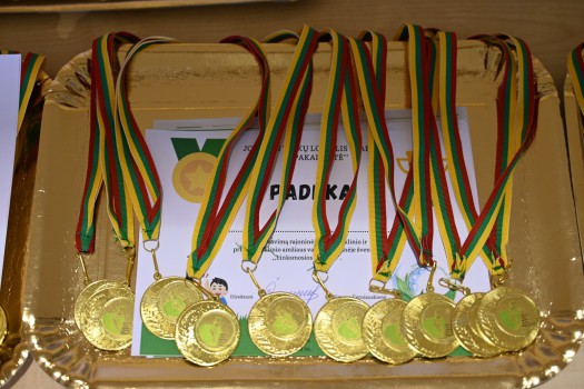 Mes puoselėjame olimpines vertybes!
