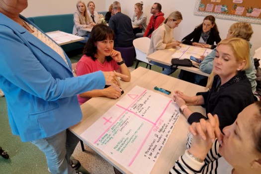 NUOLATINIO TOBULINIMO METODOLOGIJOS STEBĖJIMO STAŽUOTĖJE NYDERLANDUOSE
